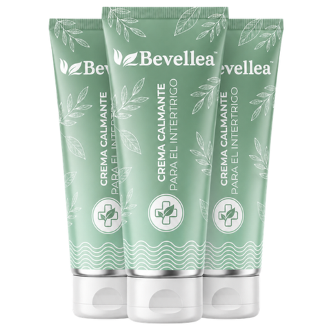 Bevellea